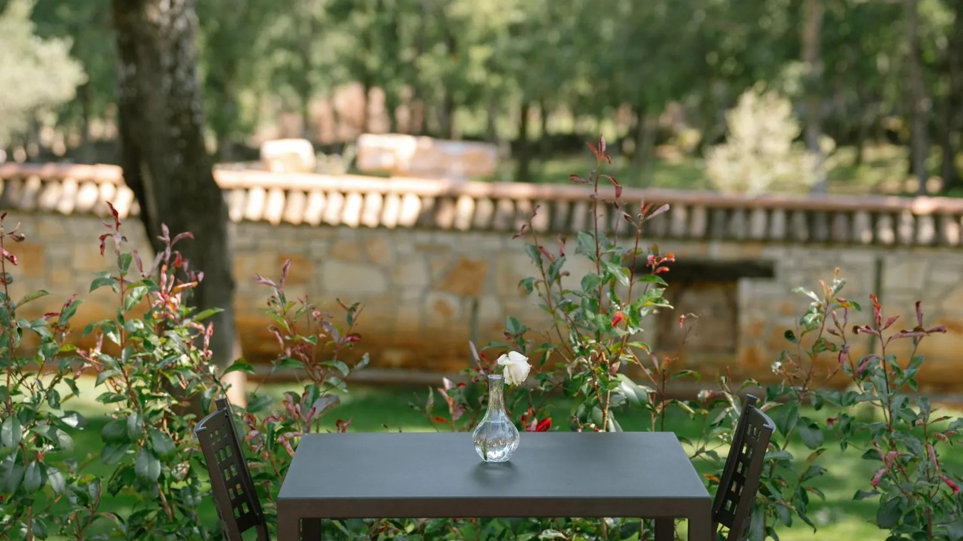 Kamp Banki Green Istrian Village - Holiday Homes & Glamping Tents Croatia